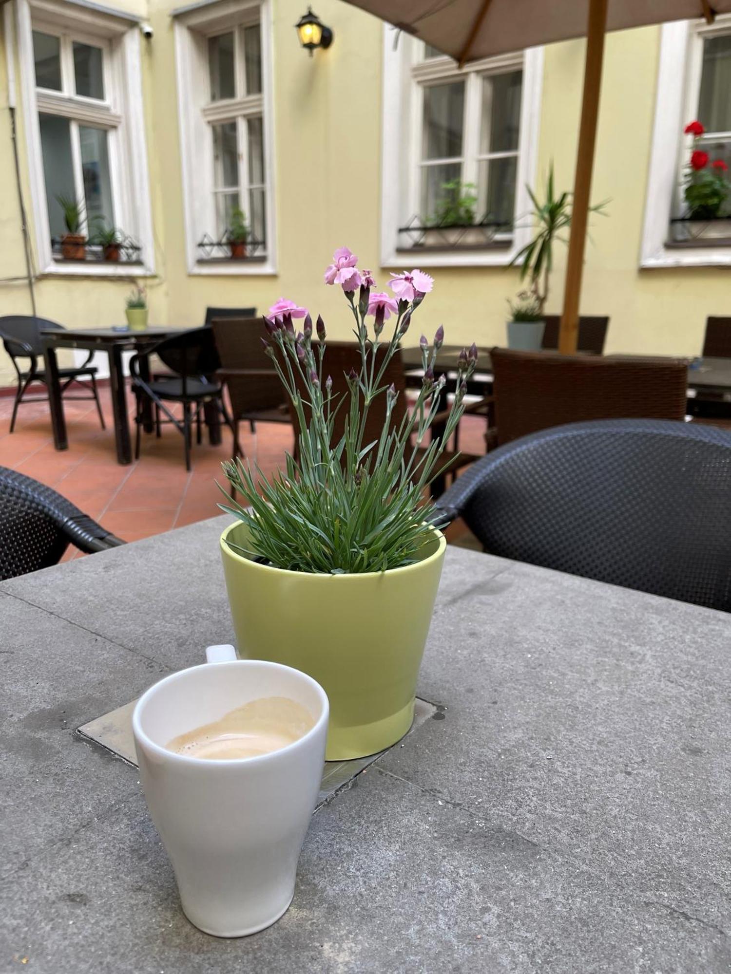 Mp Hostal